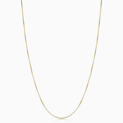 Collar Bodega Box