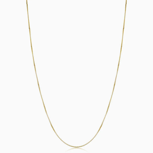 Collar Bodega Box