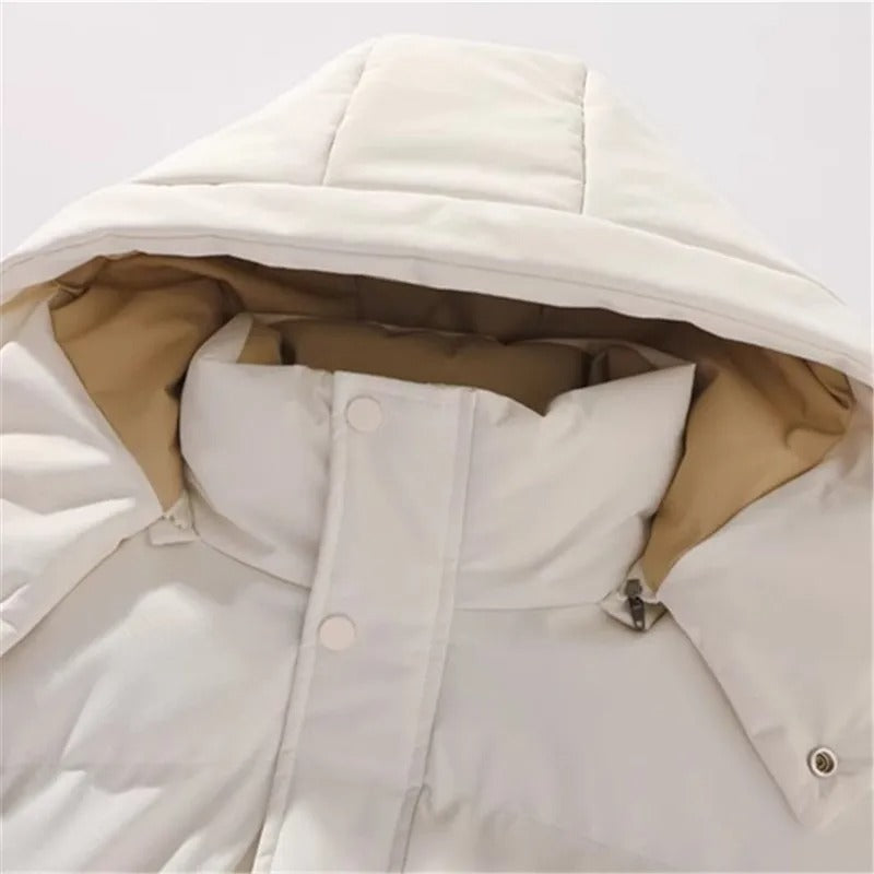 Elegant men's hoodie jacket